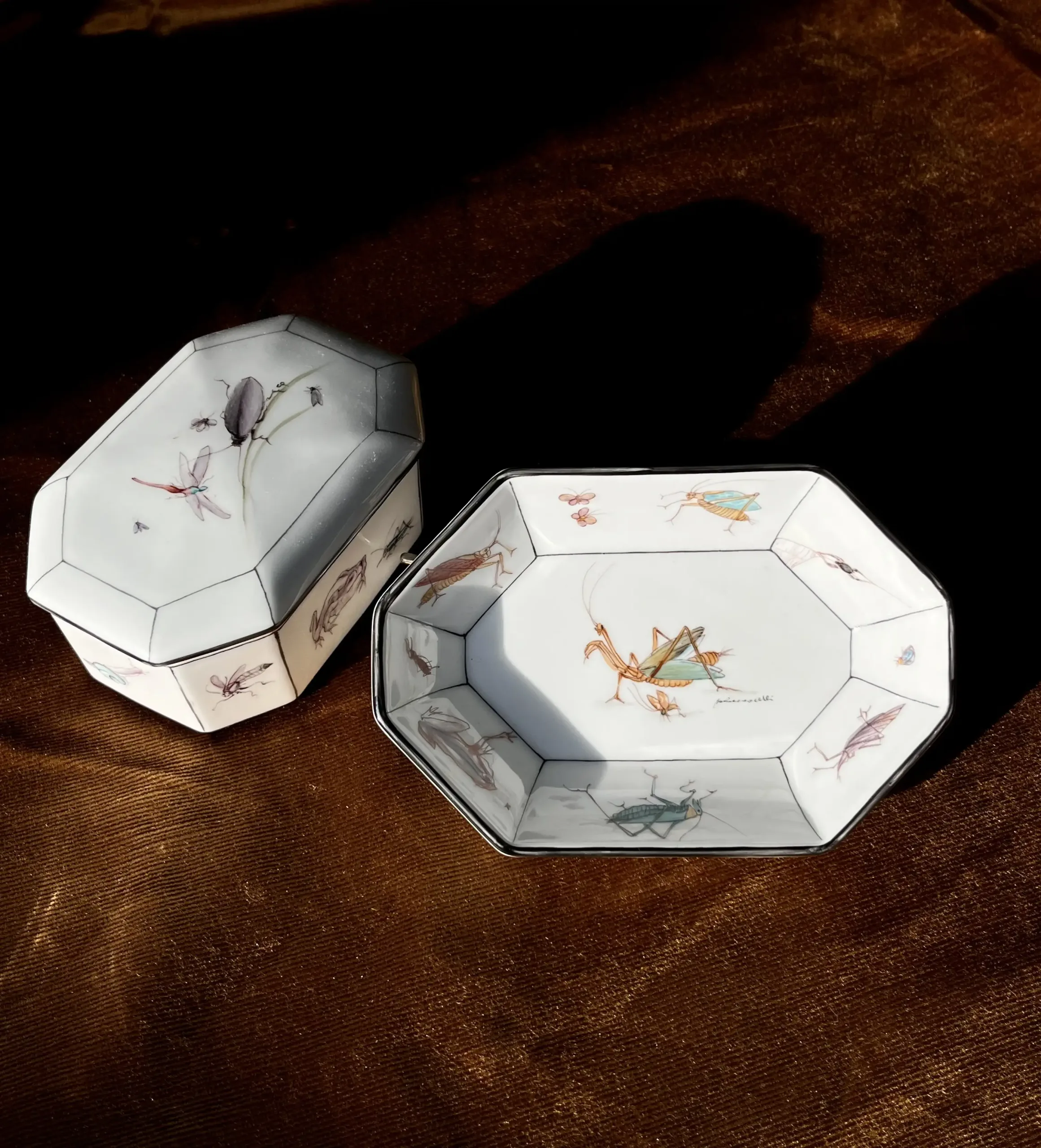 Pittura porcellana insetti